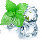 Menthol, Peppermint