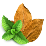 Mint, Tobacco