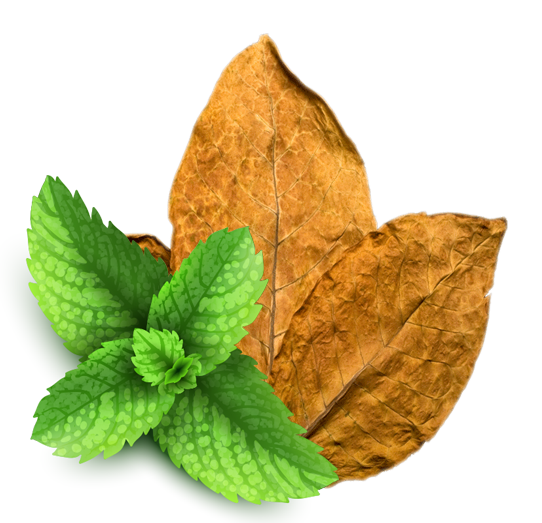 Mint, Tobacco