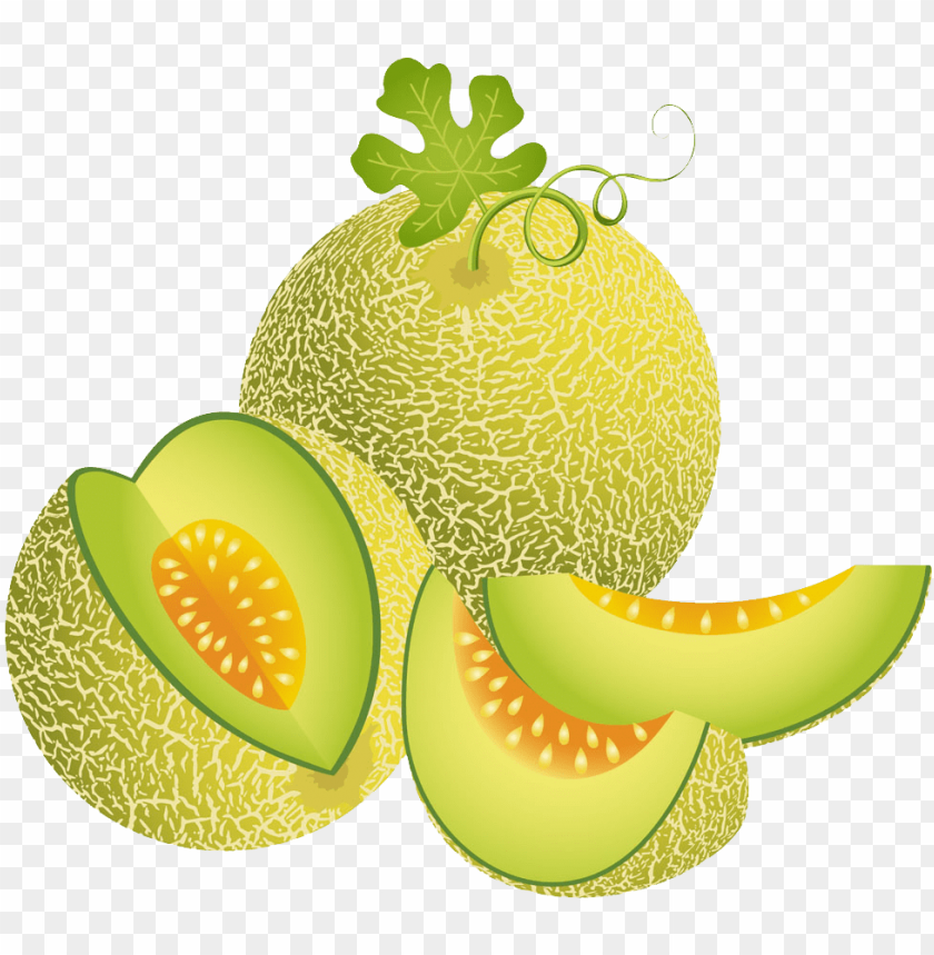 Melon